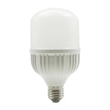 Foco LED de 20 Watts de Gran Tamaño