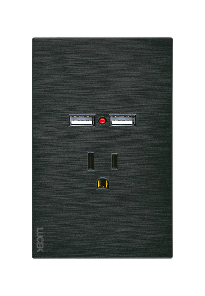 Placa Plana con 1 Contacto y 2 Entradas de USB en Color Negro