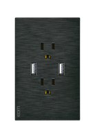 Placa Plana con 2 Contactos y 2 Entradas de USB en Color Negro