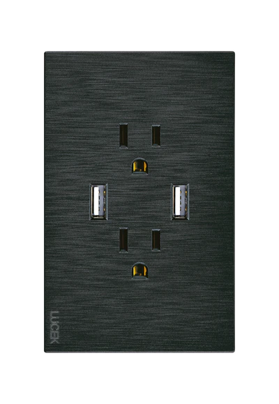Placa Plana con 2 Contactos y 2 Entradas de USB en Color Negro