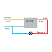 Sensor de Movimiento para Muro en Color Blanco