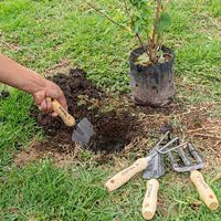 Juego de 4 Herramientas para Jardín 6"
