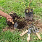 Juego de 4 Herramientas para Jardín 6"