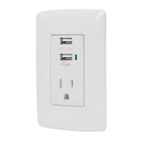 Placa con 2 Puertos USB y 1 Contacto en Color Blanco